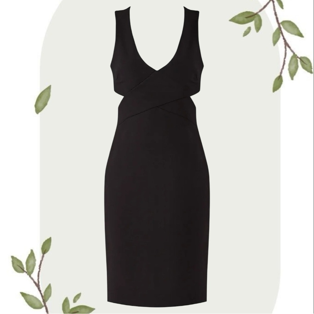 Elizabeth and James Black Aldridge Sleeveless Cutout Sheath Dress- Size 2
